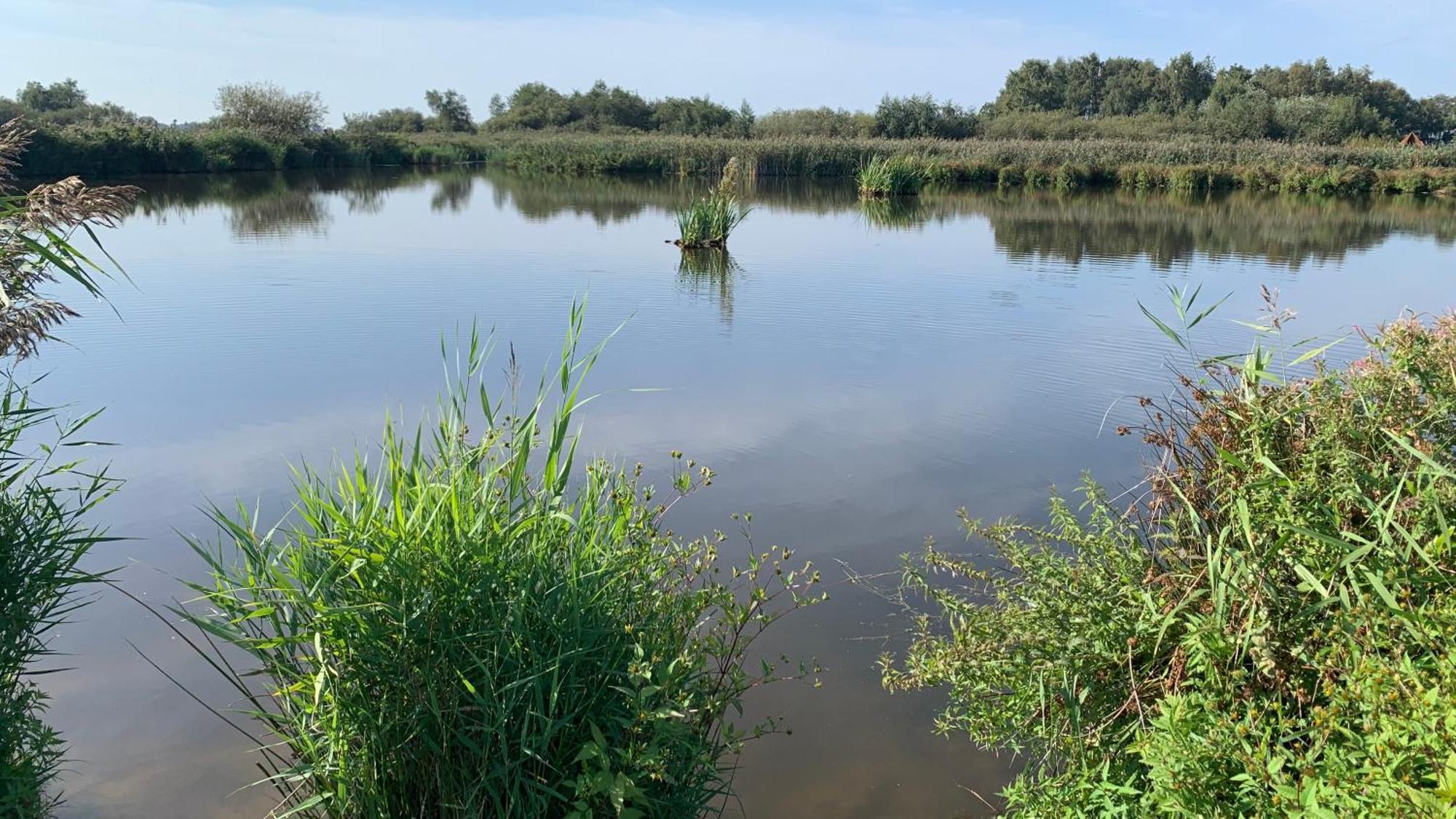 'T Paviljoenhus Bij Sneekermeer Offingawier Eksteriør bilde
